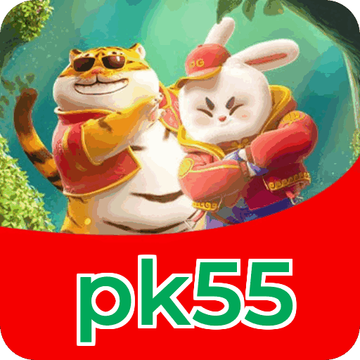 Interface pk55
